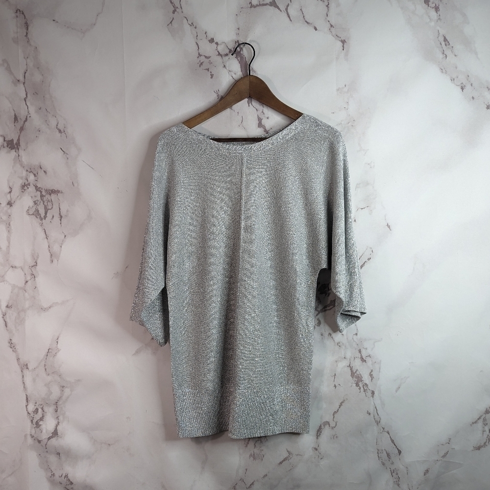 Talbots Short Sleeve Sweater Size Small Silver Sparkle Shimmer Metallic Knit Top